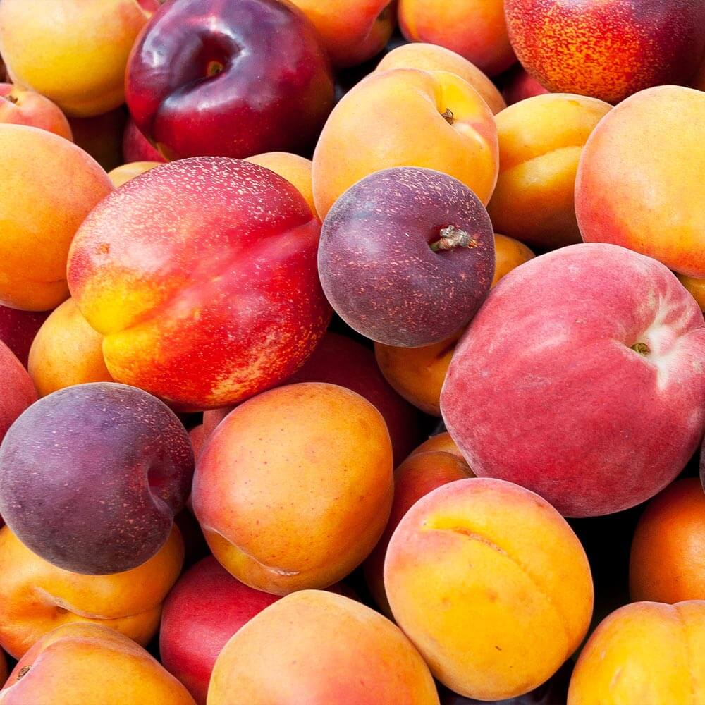 4 Way Fruit Salad Surprise, Combination Tree