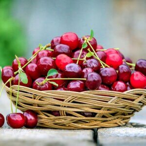 Cherry