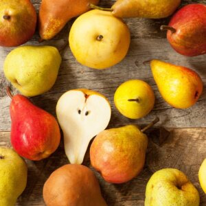 4 Way Combo, European Pear