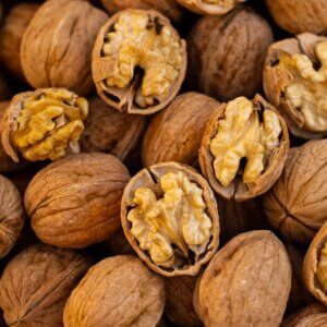 Walnut, English